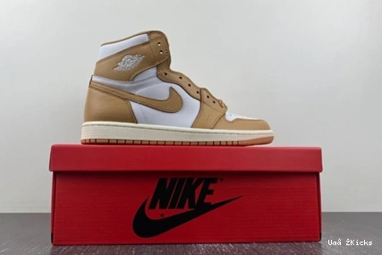 High Efficient (Women's)  Praline FN6622- OG 1 Retro 7117 69 Jordan 1109